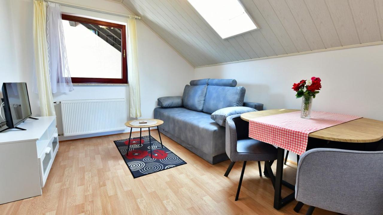 Guesthouse Ante Hodak Seliste Dreznicko Bagian luar foto