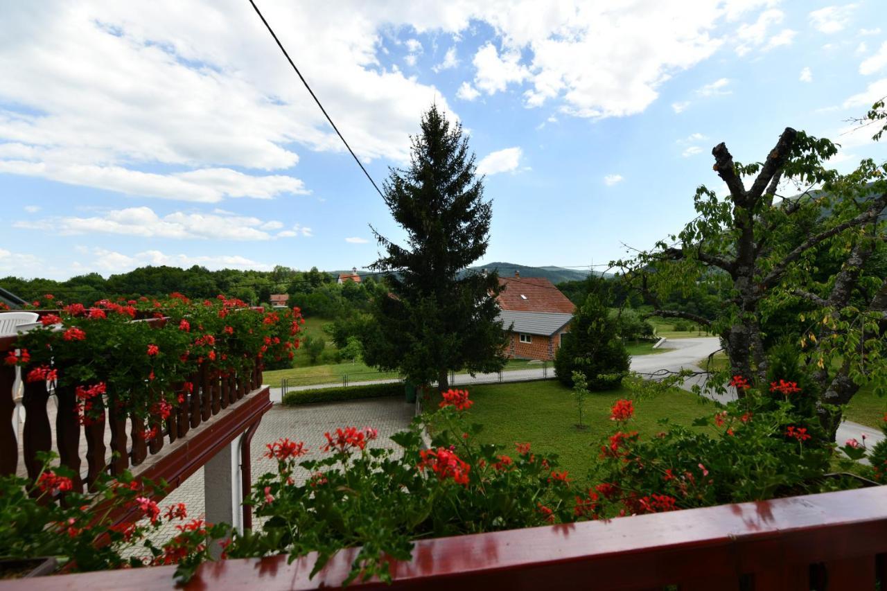 Guesthouse Ante Hodak Seliste Dreznicko Bagian luar foto
