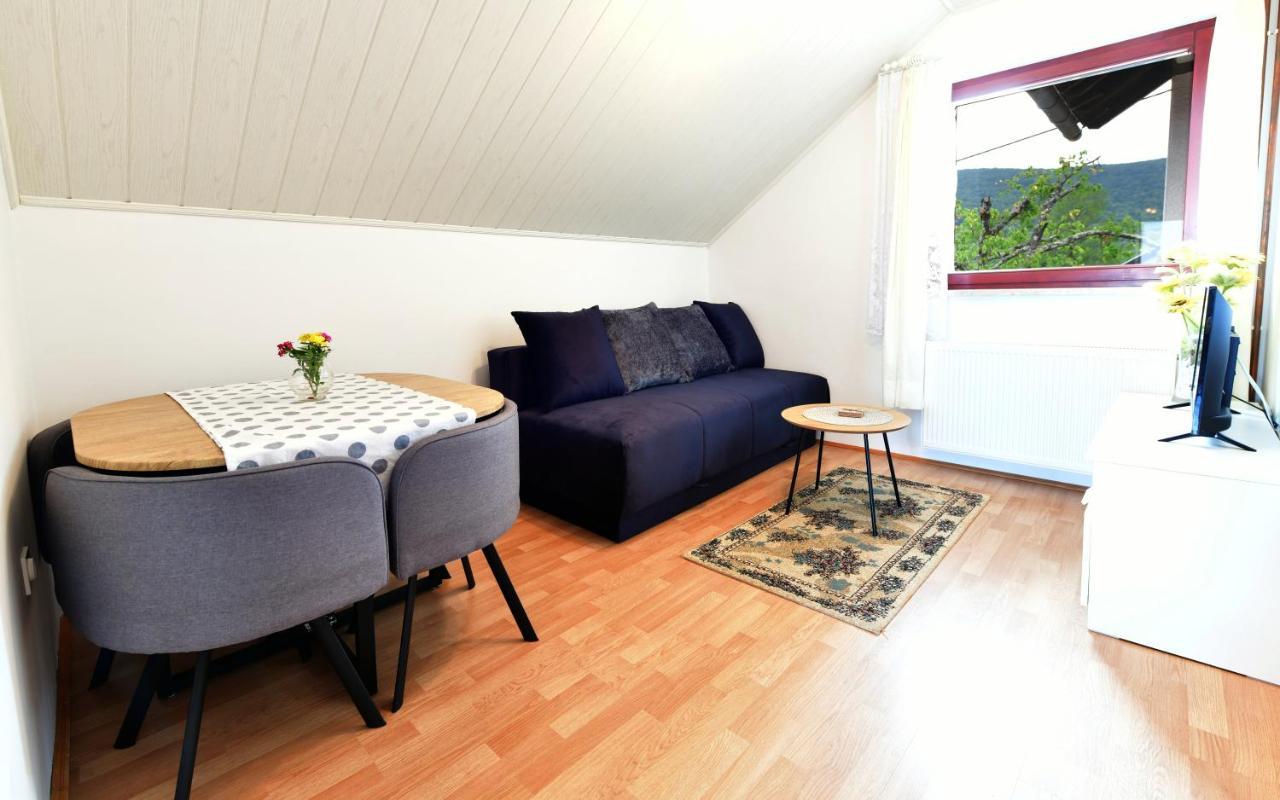 Guesthouse Ante Hodak Seliste Dreznicko Bagian luar foto