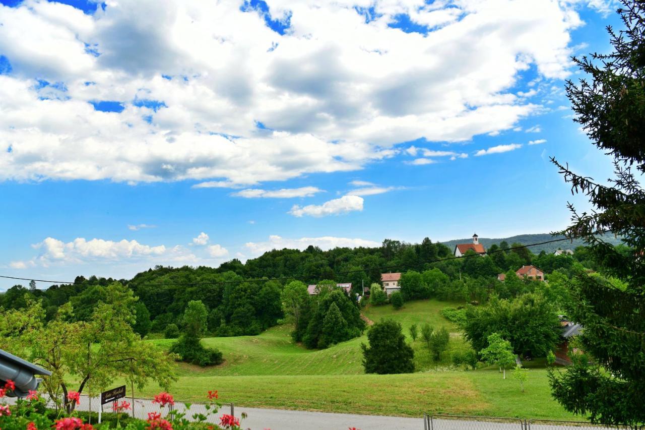 Guesthouse Ante Hodak Seliste Dreznicko Bagian luar foto